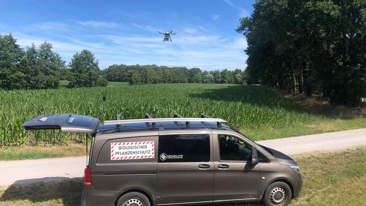 Innovative Landwirtschaft – Drohne verteilt Nützlinge zur Maiszünsler-Bekämpfung. Innovative Landwirtschaft – Drohne verteilt Nützlinge zur Maiszünsler-Bekämpfung. - 449980337_947405833850639_1537121083541716205_n